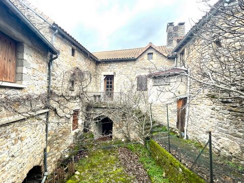 photo no. 10