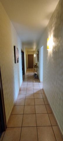 photo no. 10