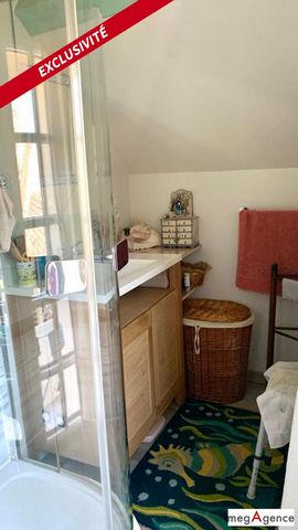 photo no. 12