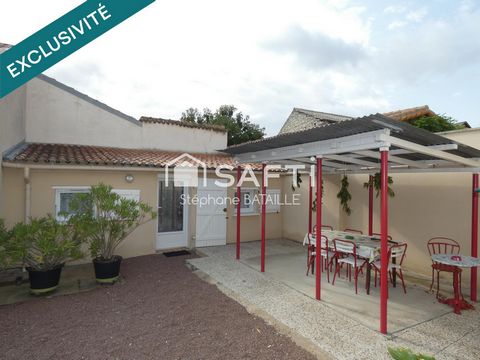 photo no. 15