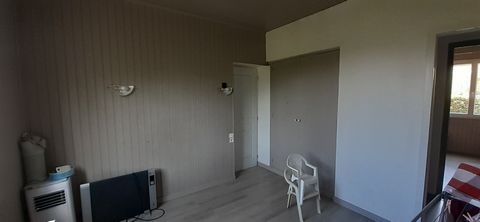 photo no. 10
