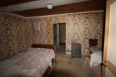 photo no. 4