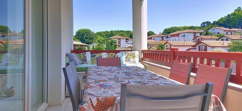 Bel appartement avec terrasse, vue Rhune, piscine