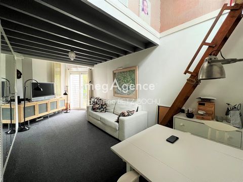photo no. 8