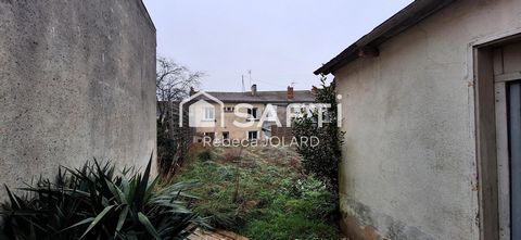 photo no. 9