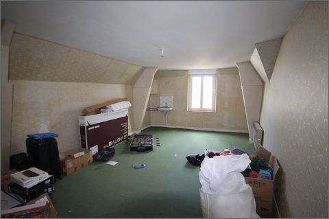photo no. 11
