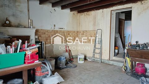 photo no. 11