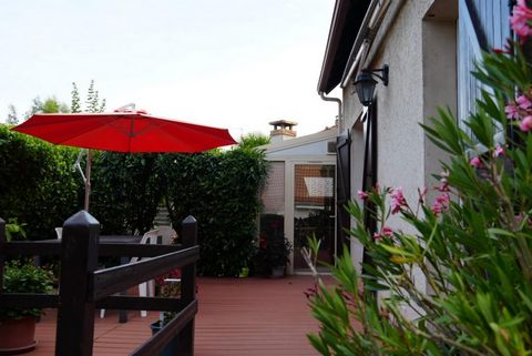 photo no. 19