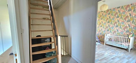 photo no. 10