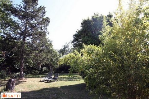 photo no. 2