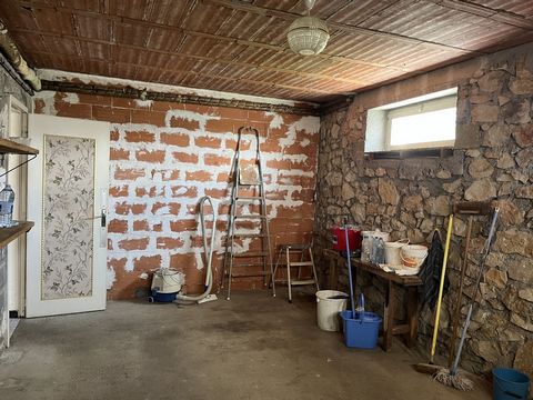 photo no. 18