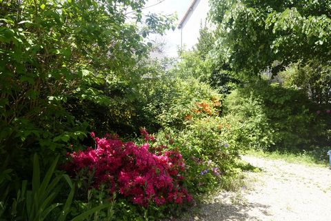 photo no. 22