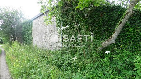 photo no. 7