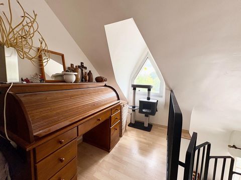 photo no. 15