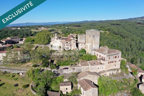 Château Médiéval XIIème-15 pièces - 800m2