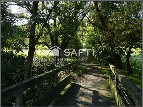 photo no. 6