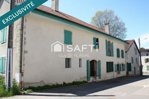 photo no. 11
