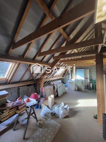 photo no. 8