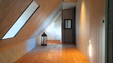 photo no. 15