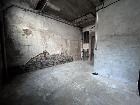 photo no. 16