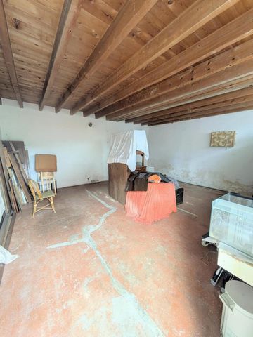 photo no. 9