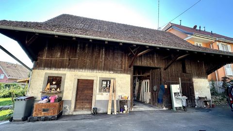 photo no. 11