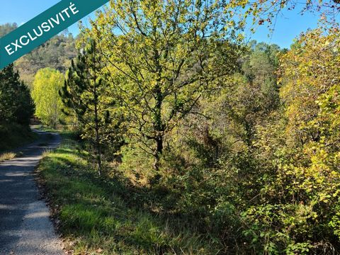 Terrain boisé et viabilisé avec tout à l'égout