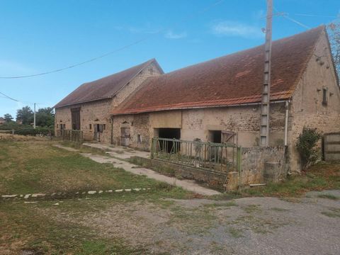 photo no. 12