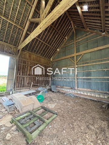 photo no. 3