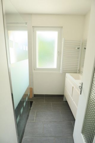 photo no. 9