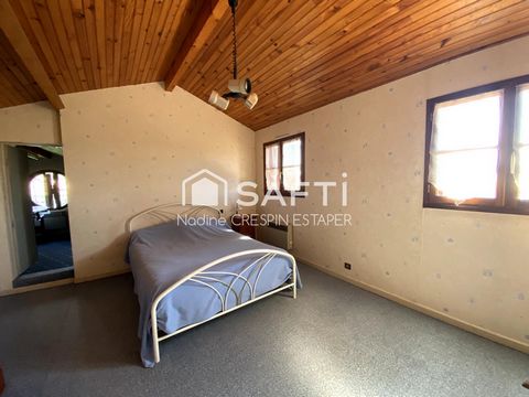 photo no. 16