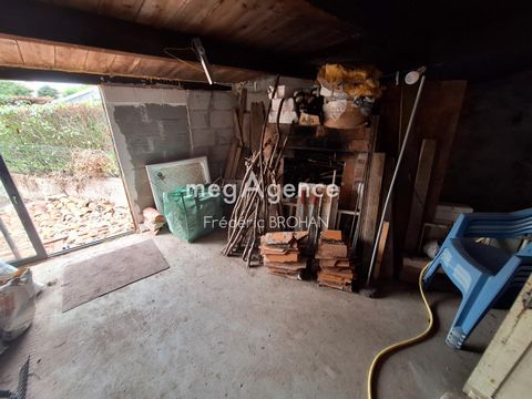 photo no. 8