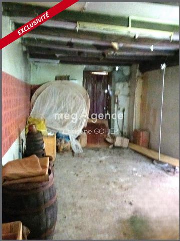 photo no. 6
