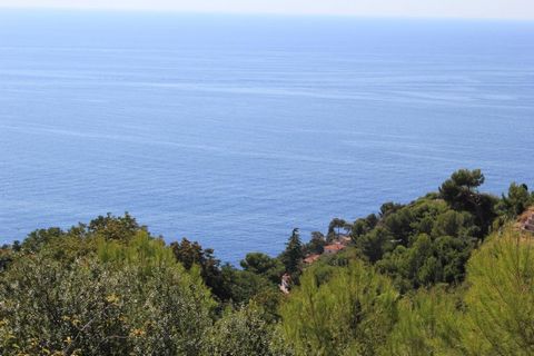 Terrain 1500m2 à vendre - EZE