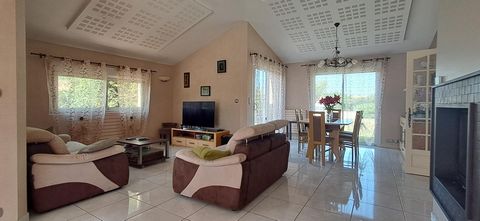 photo no. 17