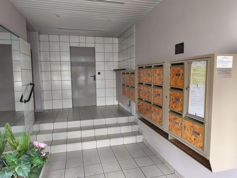 photo no. 11