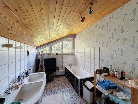photo no. 8