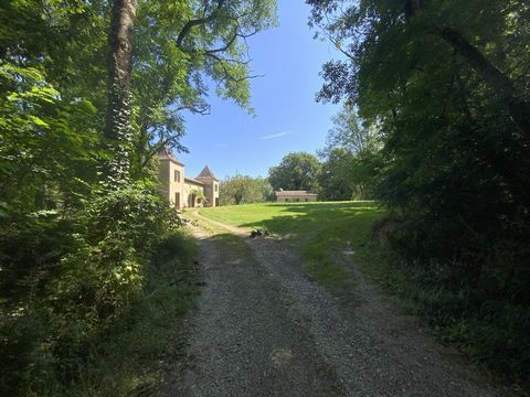 photo no. 7