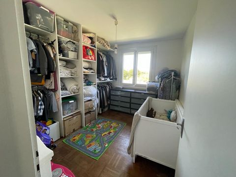 photo no. 6