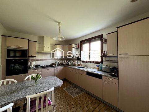 photo no. 7