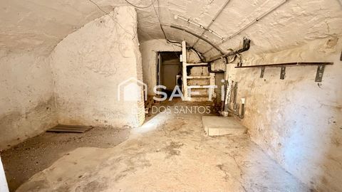 photo no. 5