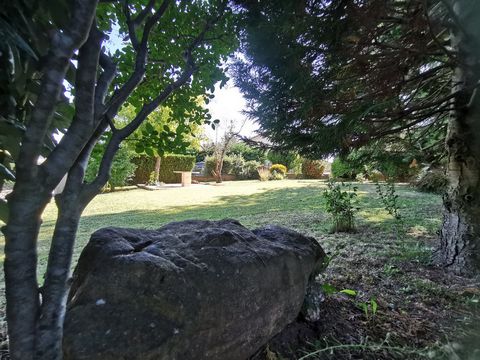photo no. 19