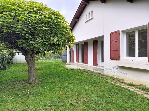 photo no. 3