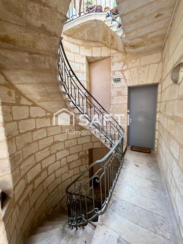 photo no. 11