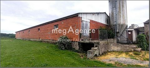 photo no. 11