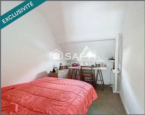 photo no. 12