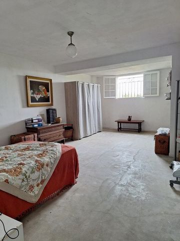 photo no. 11