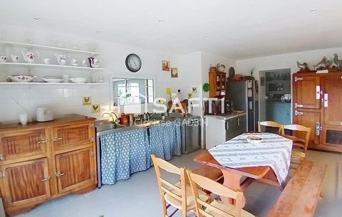 photo no. 6