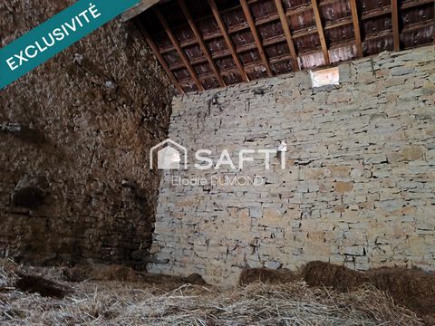 photo no. 14
