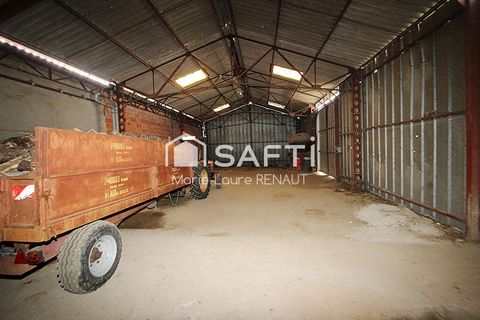 photo no. 13